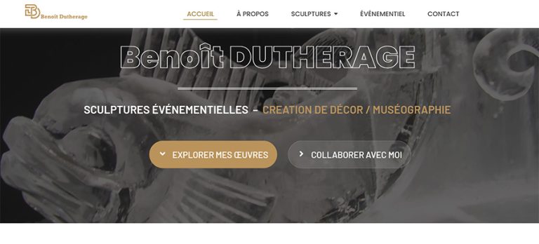 Lire la suite à propos de l’article Site web de benoît DUTHERAGE